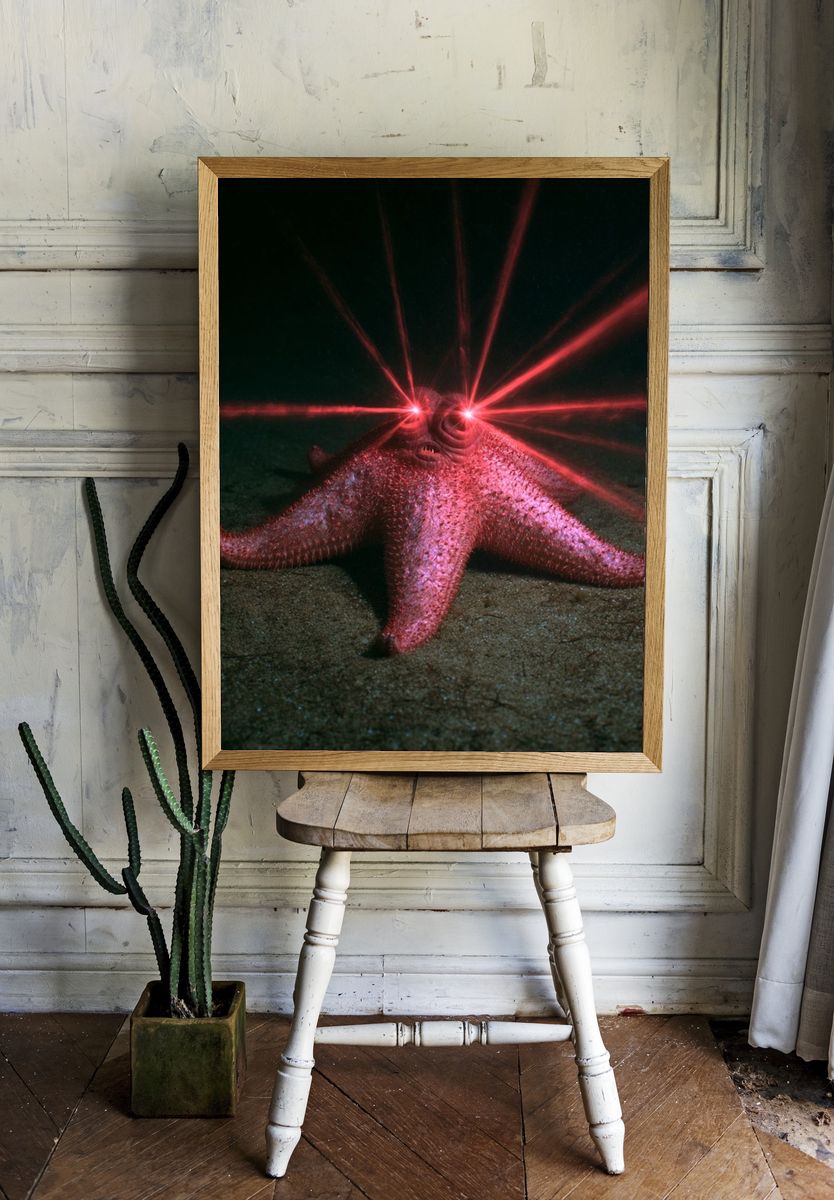Laser-Eyed Starfish Photography Poster. room preview