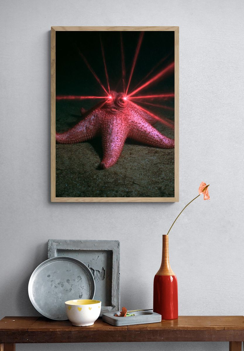 Laser-Eyed Starfish Photography Poster. — room view 3
