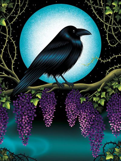 Moonlit Raven Botanical Print. poster