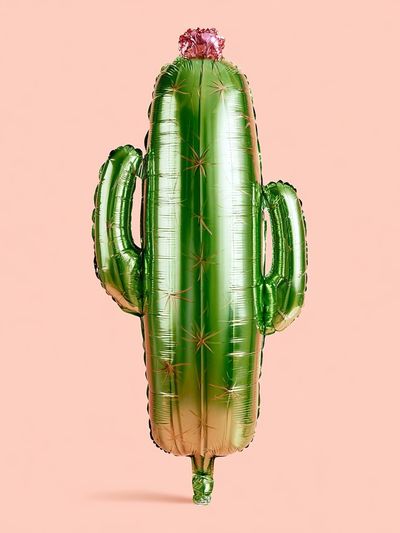 Cactus Balloon Illustration Poster.