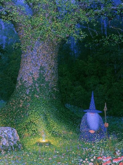 Enchanted Forest Wizard Print. poster