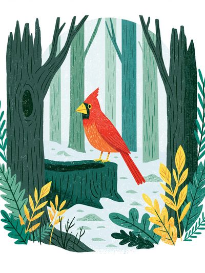 Cardinal Forest Illustration Poster. poster print