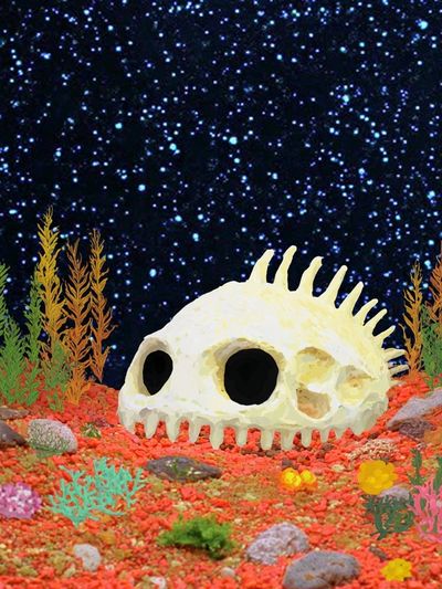 Underwater Skull Fantasy Illustration Poster. poster print
