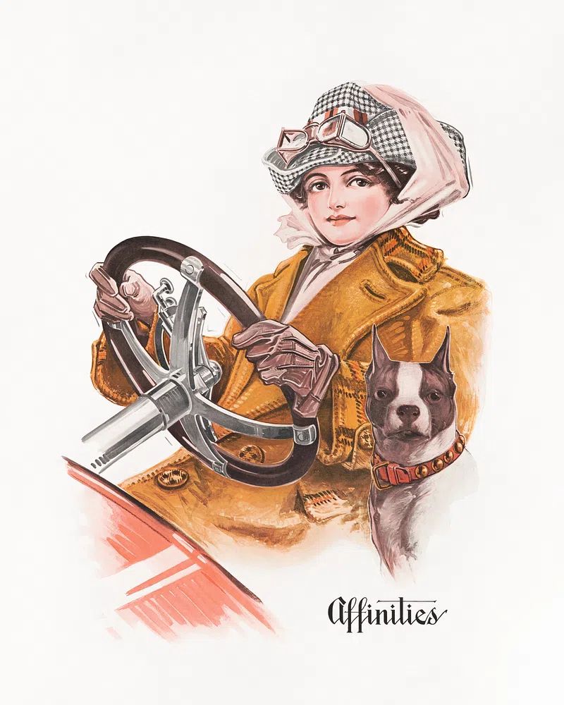 Affinities Fashion Illustration Poster. poster detail