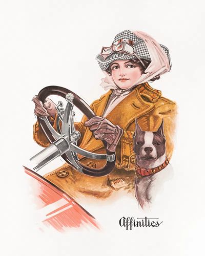 Affinities Fashion Illustration Poster. poster