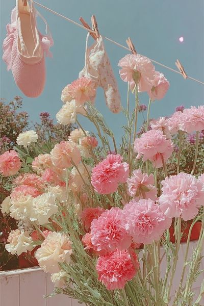 Pastel Flower Clothesline Illustration Print. poster print