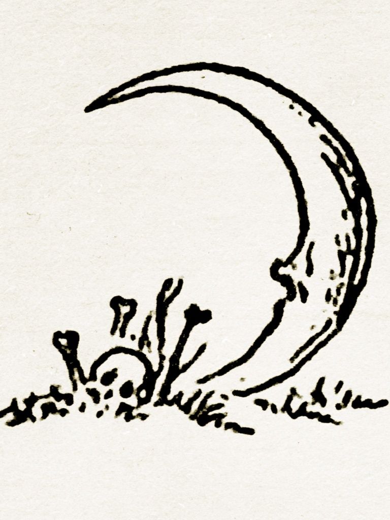 Moonrise Ink Illustration Poster. poster — illustration art