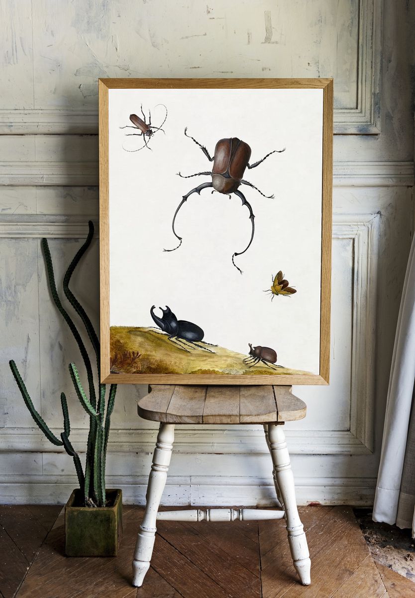 Insect Study — Botanical Print room preview