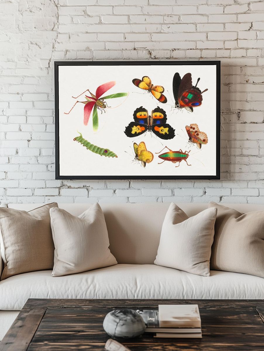 Colorful Insects Illustration Poster. room preview