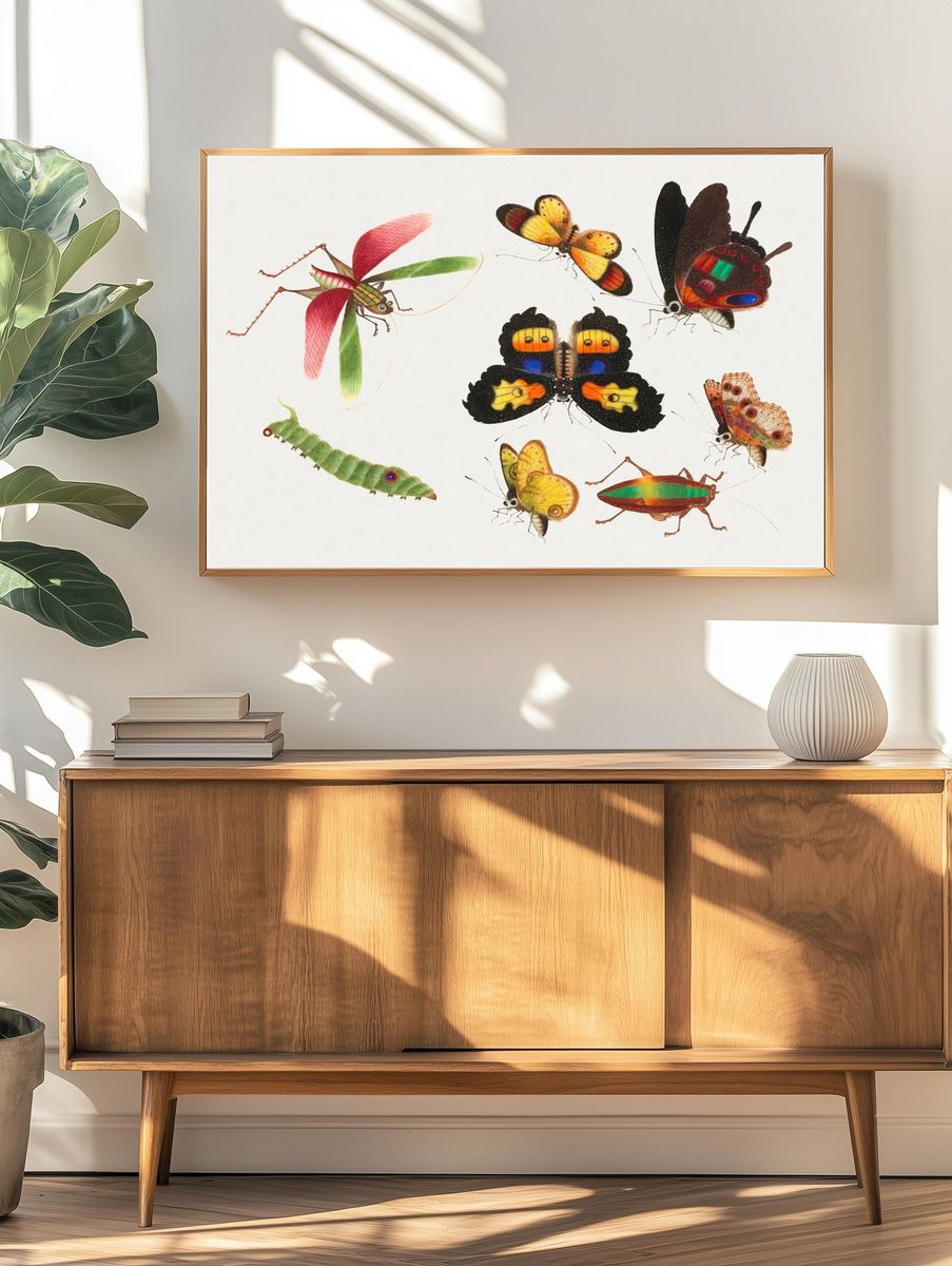 Colorful Insects Illustration Poster. — room view 3