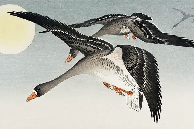 Flying Geese — Japanese Art Print. poster detail