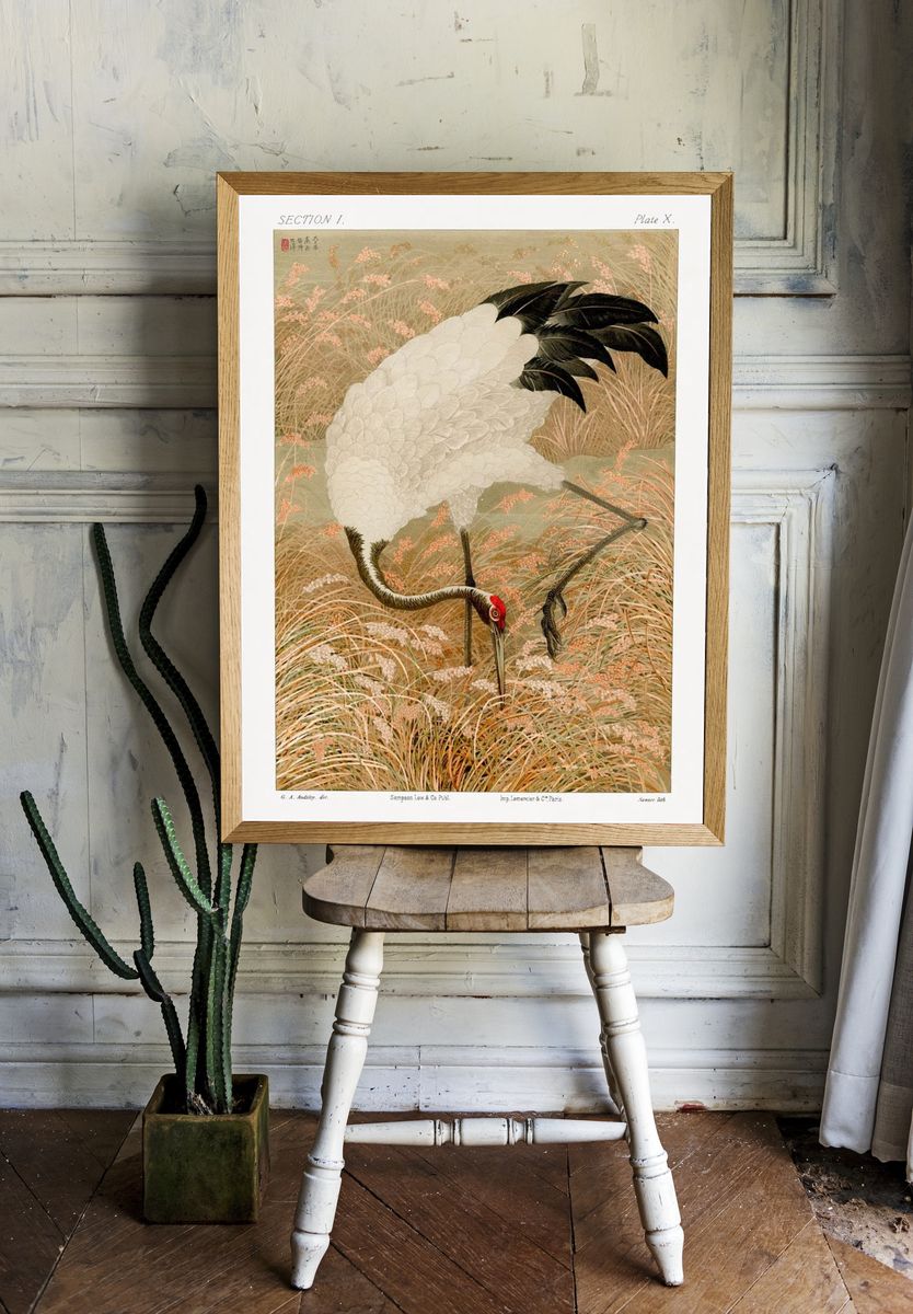 Sarus crane in rice field — Art Print. room preview