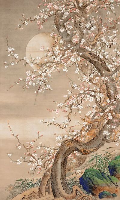 Japanese Plum Blossoms by Sō Shizan (18th Century) — Art Print. poster print