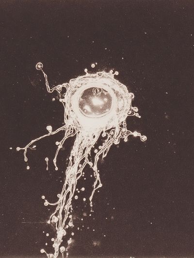 Abstract Jellyfish Illustration Poster. poster
