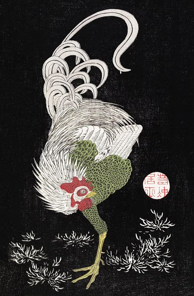 Japanese Rooster Ink Poster. poster — illustration art
