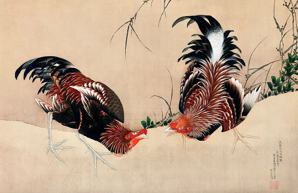 Japanese Roosters — Fine Art Print. poster — fine-art art