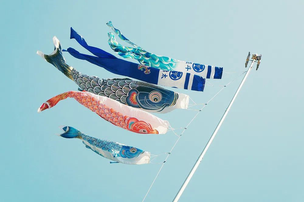 Koi Fish Flags — Japanese Art Print. poster — illustration art
