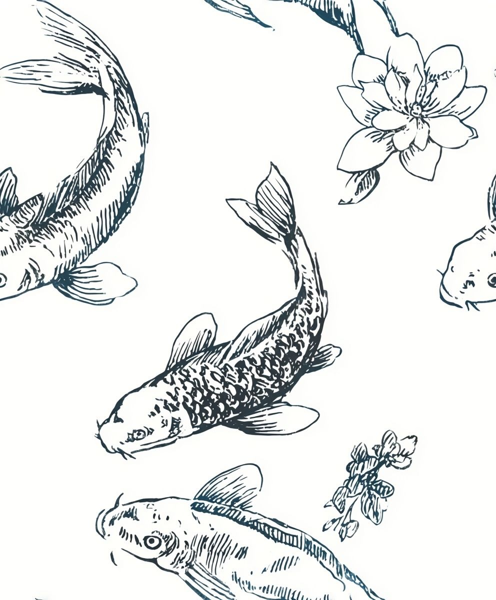 Koi Fish Botanical Line Art Poster. poster — illustration art