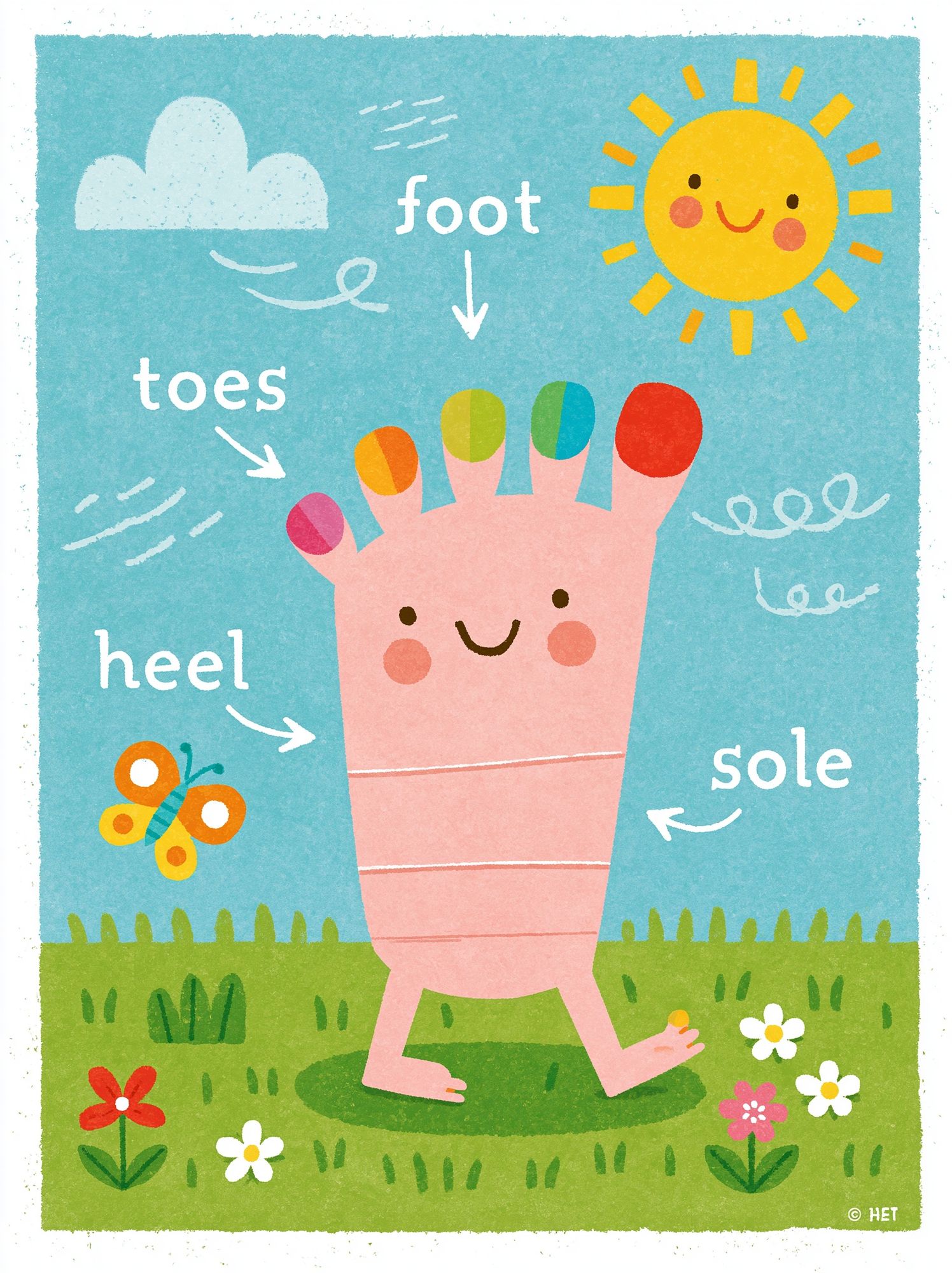 Happy Foot Anatomy Kids Print. poster — kids art