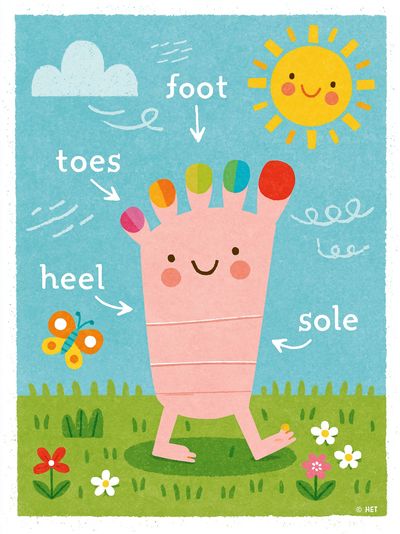 Happy Foot Anatomy Kids Print.
