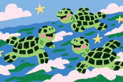 Playful Turtles in the Sky Print. poster