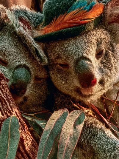 Koala Family Illustration Poster. poster print