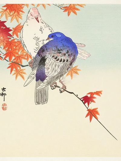 Two pigeons autumn branch. poster print