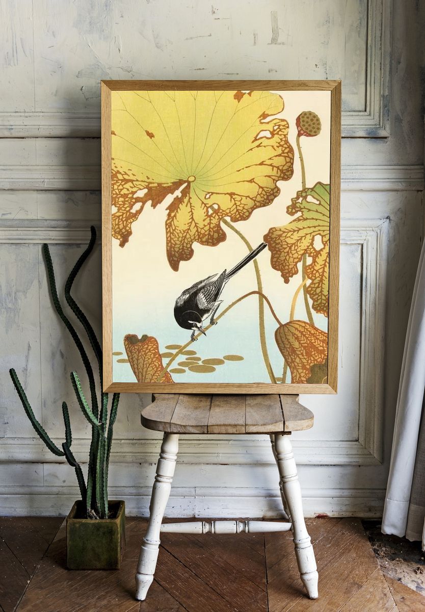 Japanese wagtail lotus plant. — room view 1