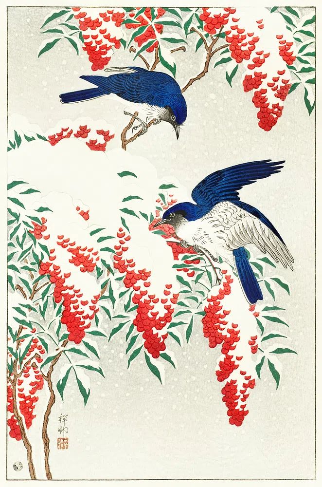 Flycatchers nandina bush. poster — fine-art art