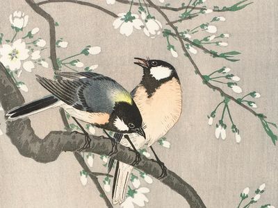 Tits Cherry Branch (1900–1910) Ohara.