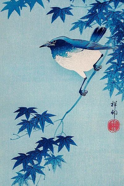 Robin Maple Branch (1935) Ohara. poster print