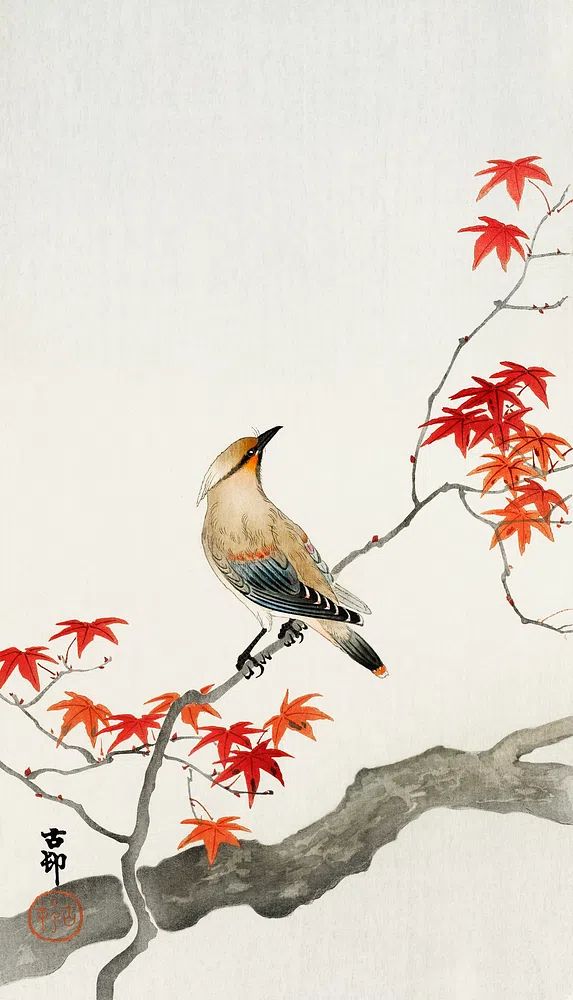 Japanese plague bird maple. poster detail