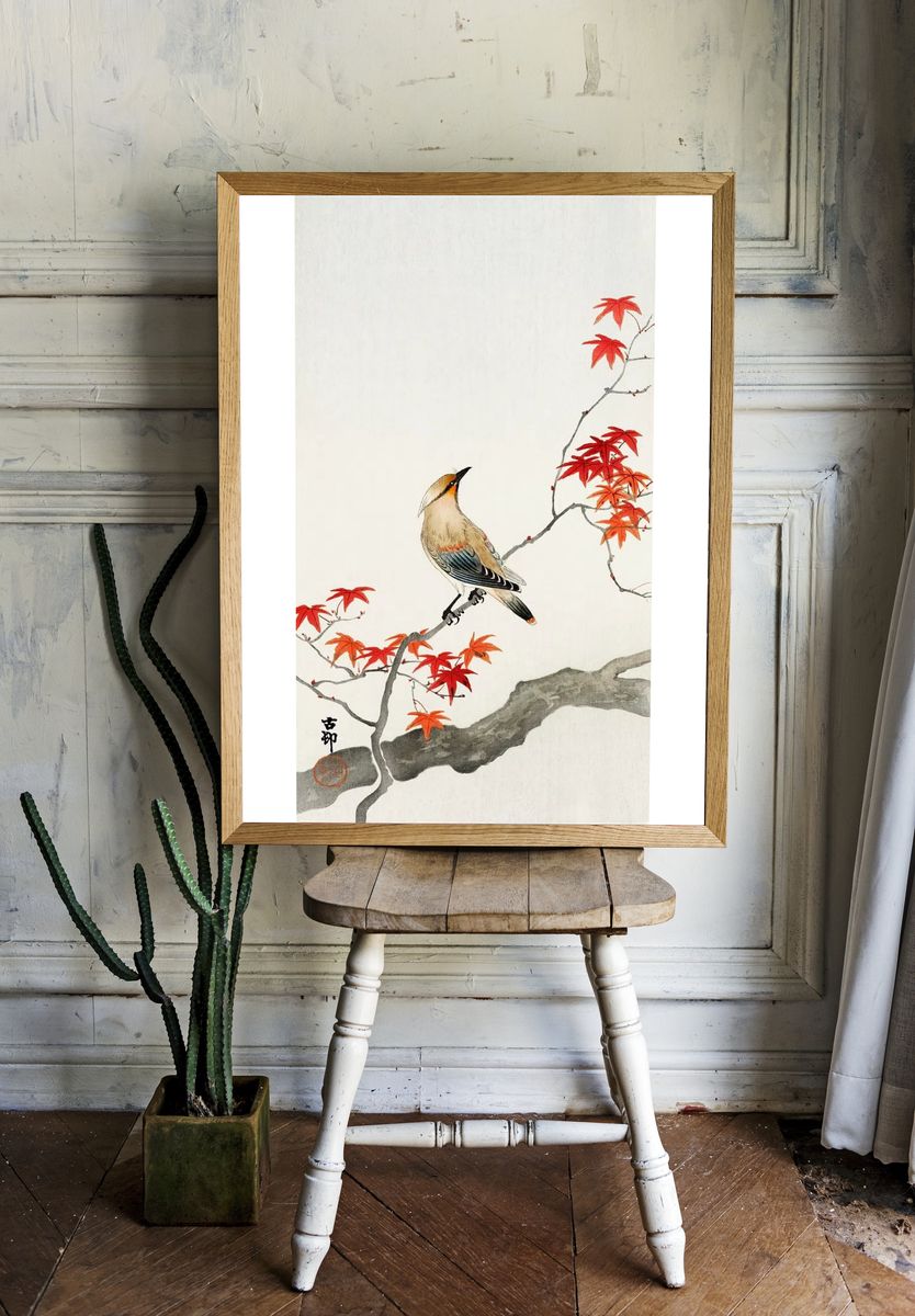 Japanese plague bird maple. — room view 1