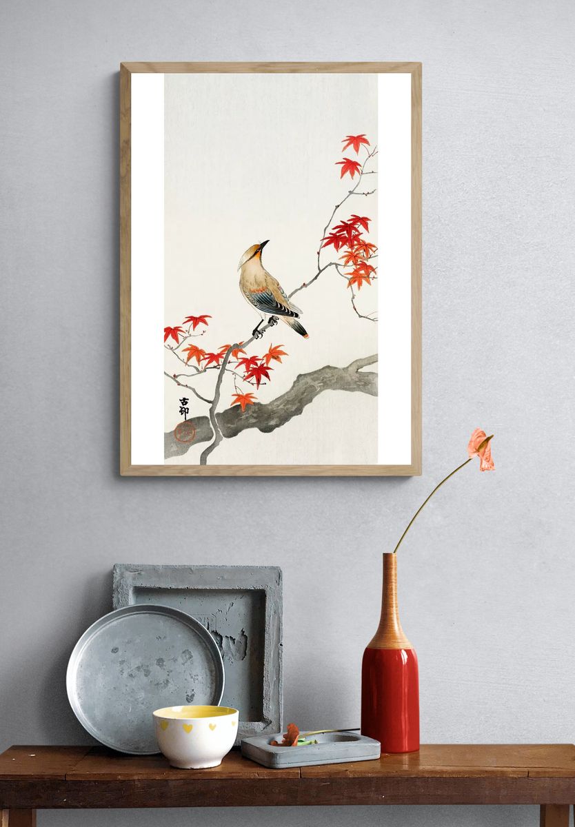 Japanese plague bird maple. — room view 3