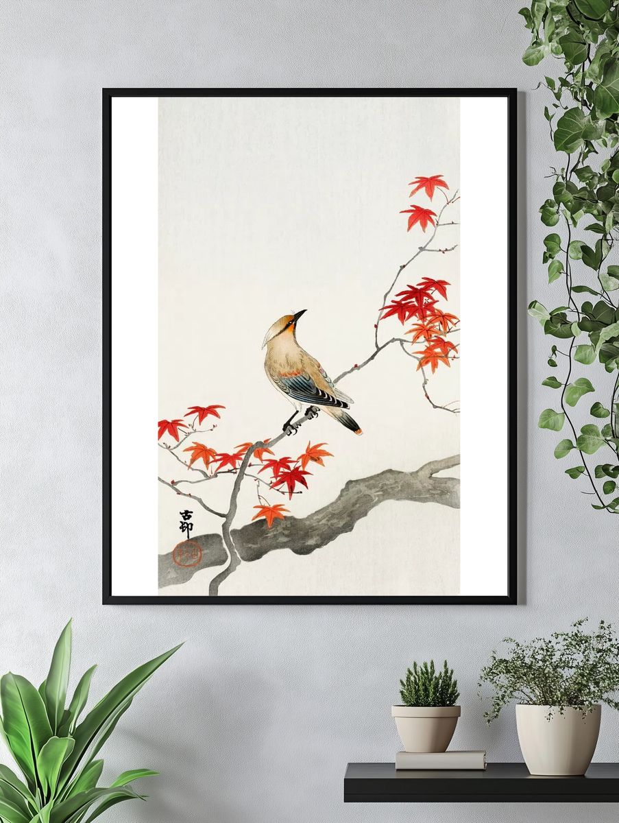 Japanese plague bird maple. — room view 4