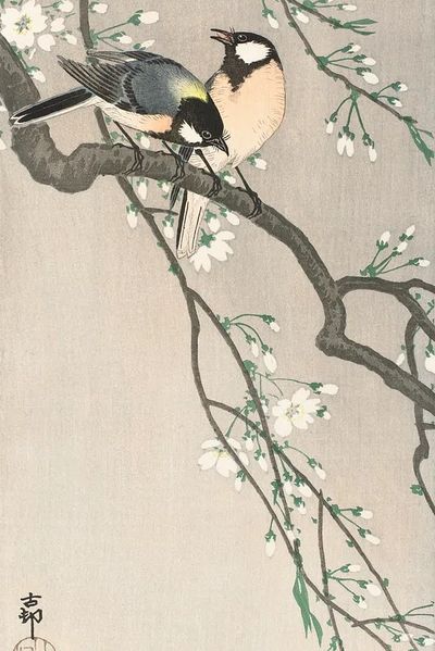 Tits Cherry Branch (1900–1910) Ohara. poster print