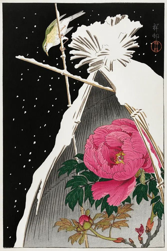 Siberian bluechat next peony. poster — fine-art art