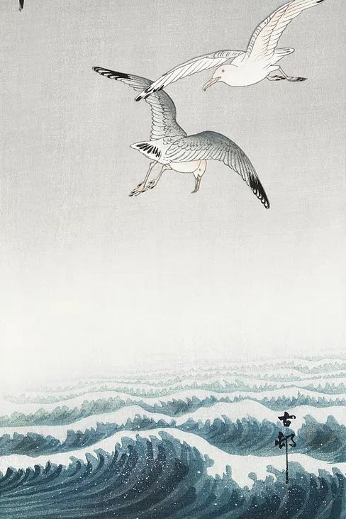 Three seagulls (1900 - 1936). poster — fine-art art