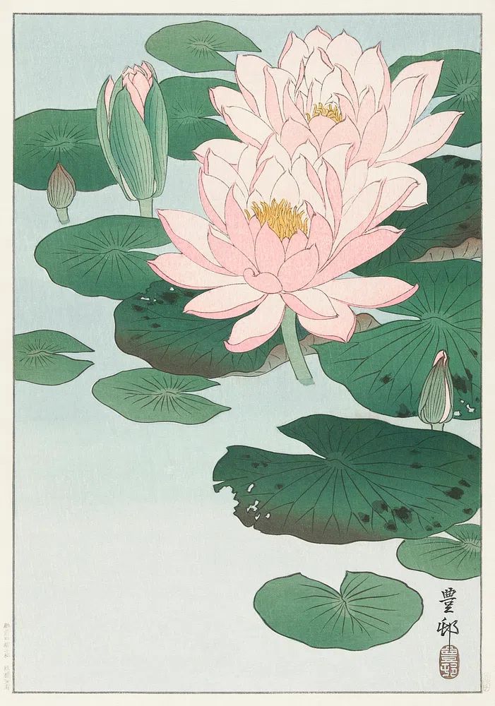 Water Lily (1920 - 1930). poster detail