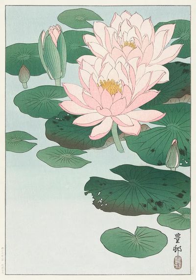 Water Lily (1920 - 1930). poster print