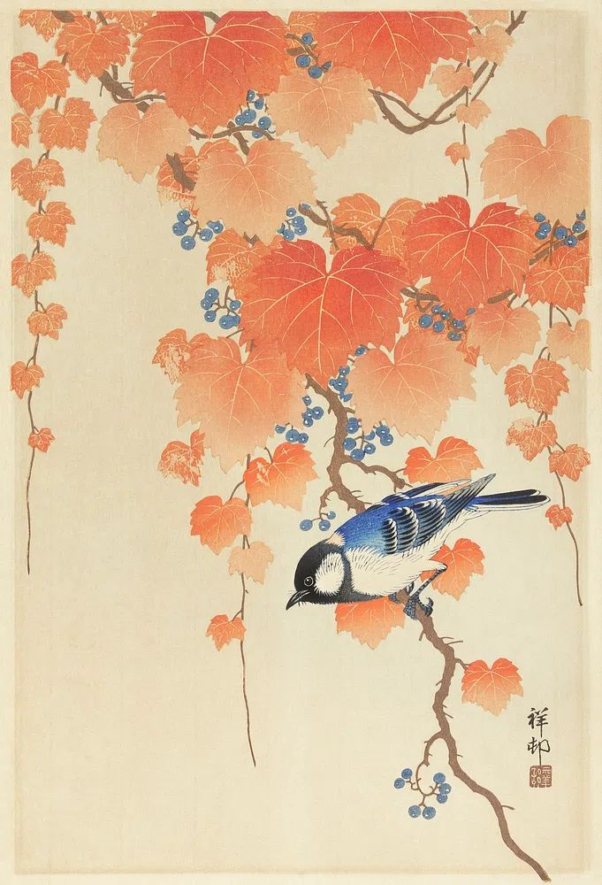 Great tit paulownia branch. poster detail