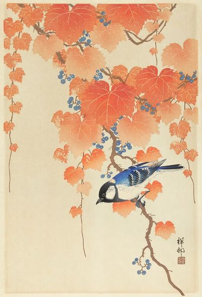 Great tit paulownia branch. poster print