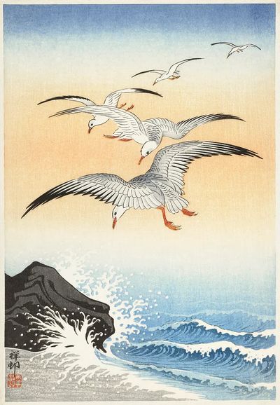 Five seagulls turbulent sea. poster print