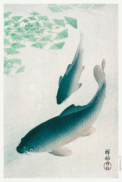 Carp Koi (1926) Ohara Koson. poster print