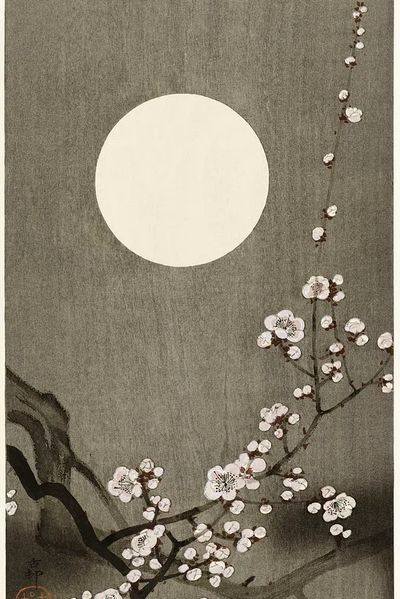 Blooming plum blossom full moon. poster print