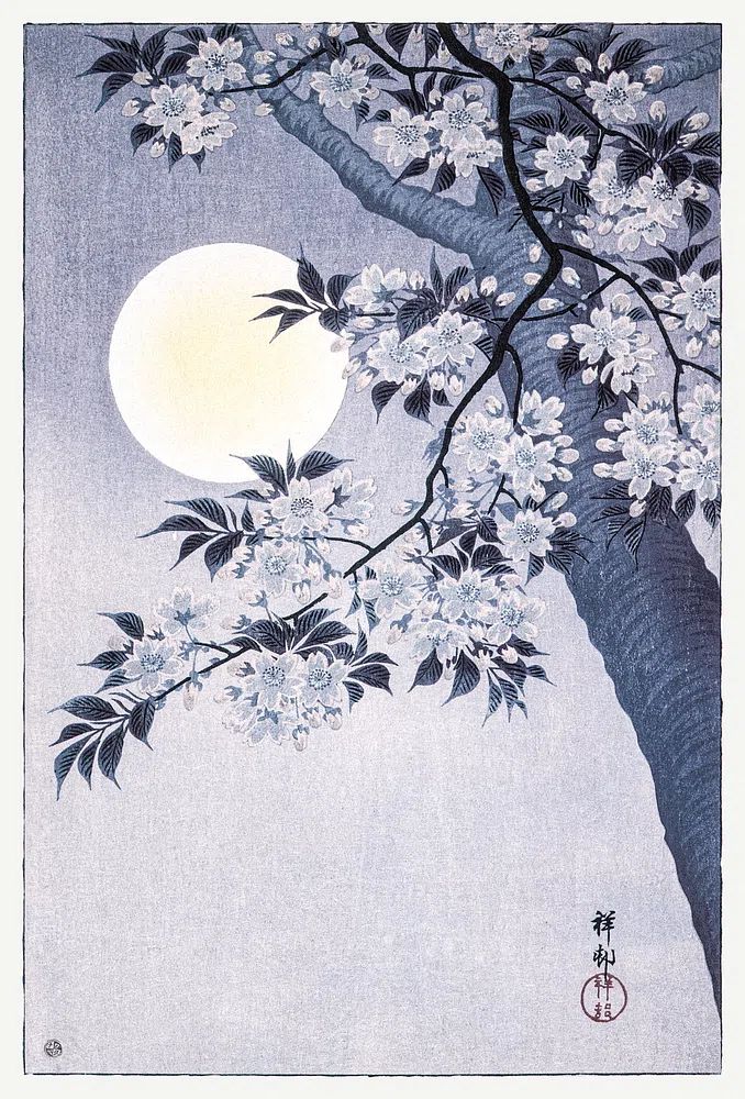 Blossoming Cherry Moonlit Night. poster — fine-art art