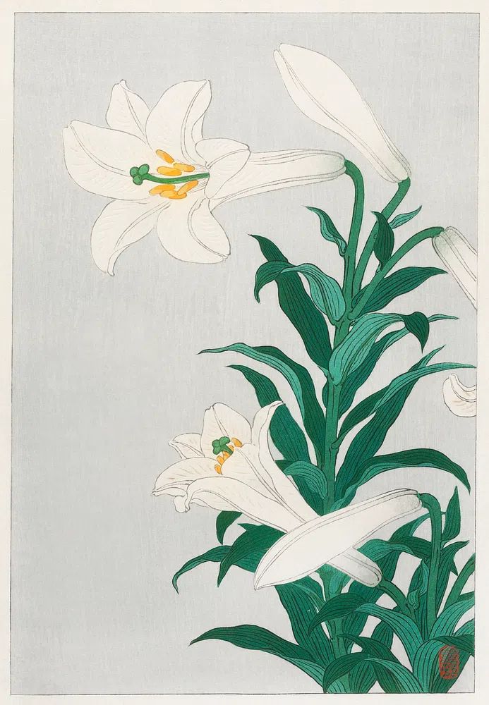 Lilies, Ohara. poster detail