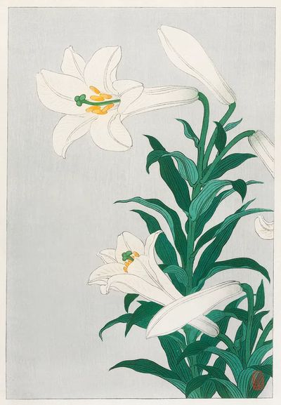 Lilies, Ohara. poster print