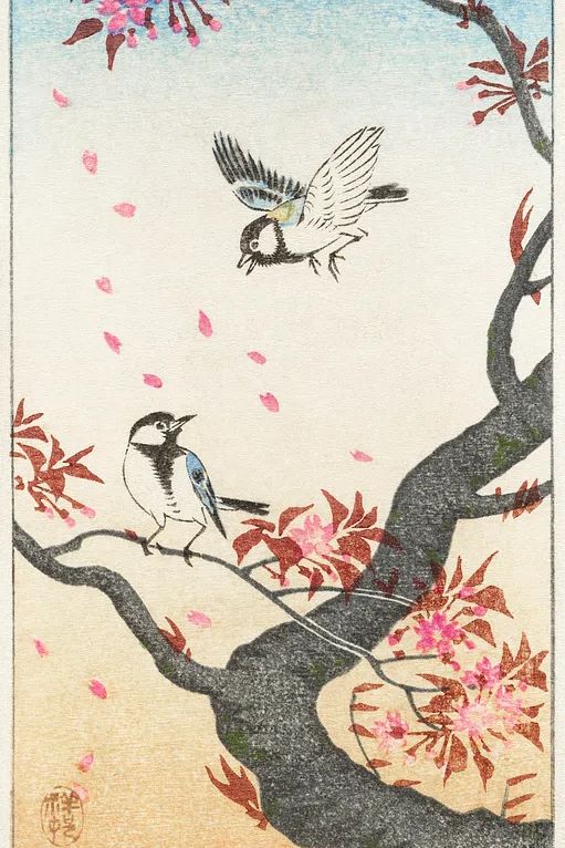 Two great tits blossoming tree. poster detail