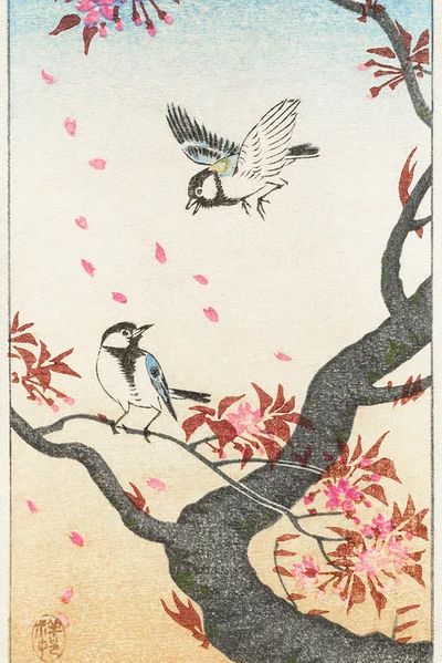 Two great tits blossoming tree.